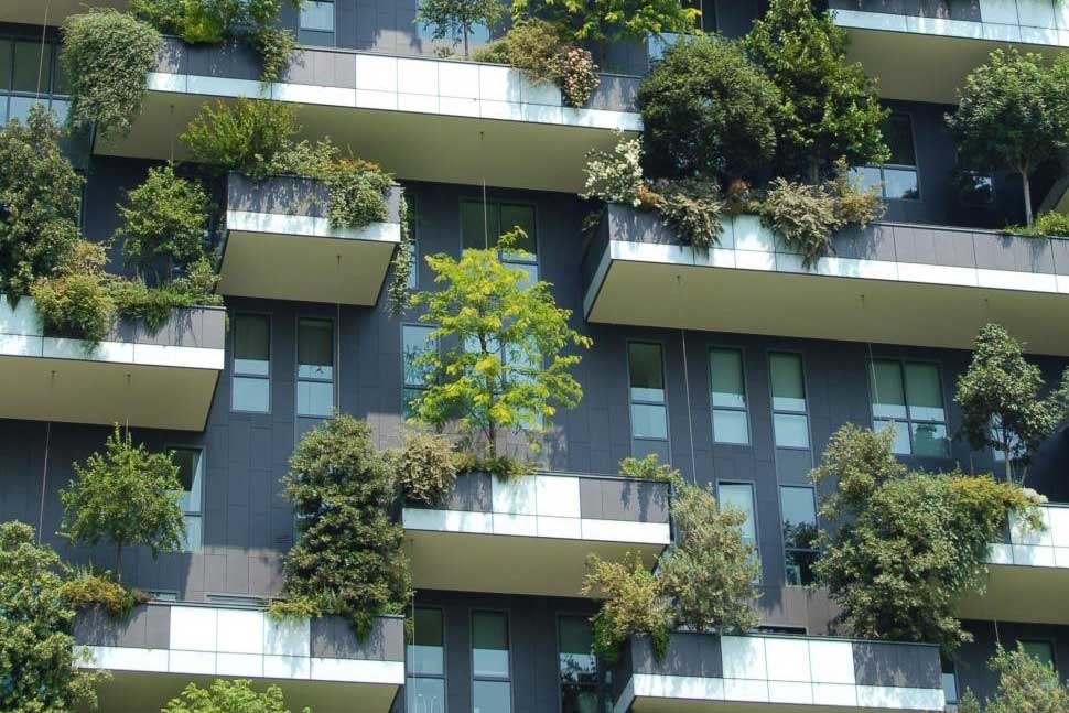 How You Can Do Your Part: Creating a More Sustainable Office Space